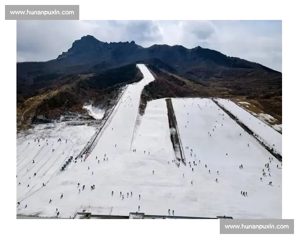 滑雪赛事安全与公平引发热议引爆公众关注潮